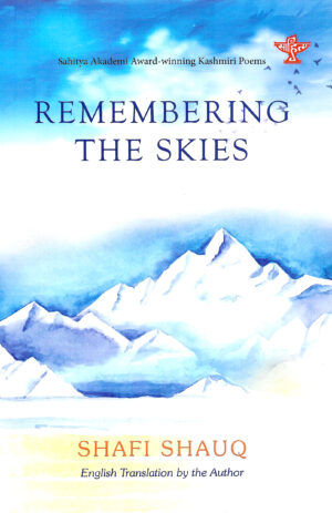 Remembering The Skies
